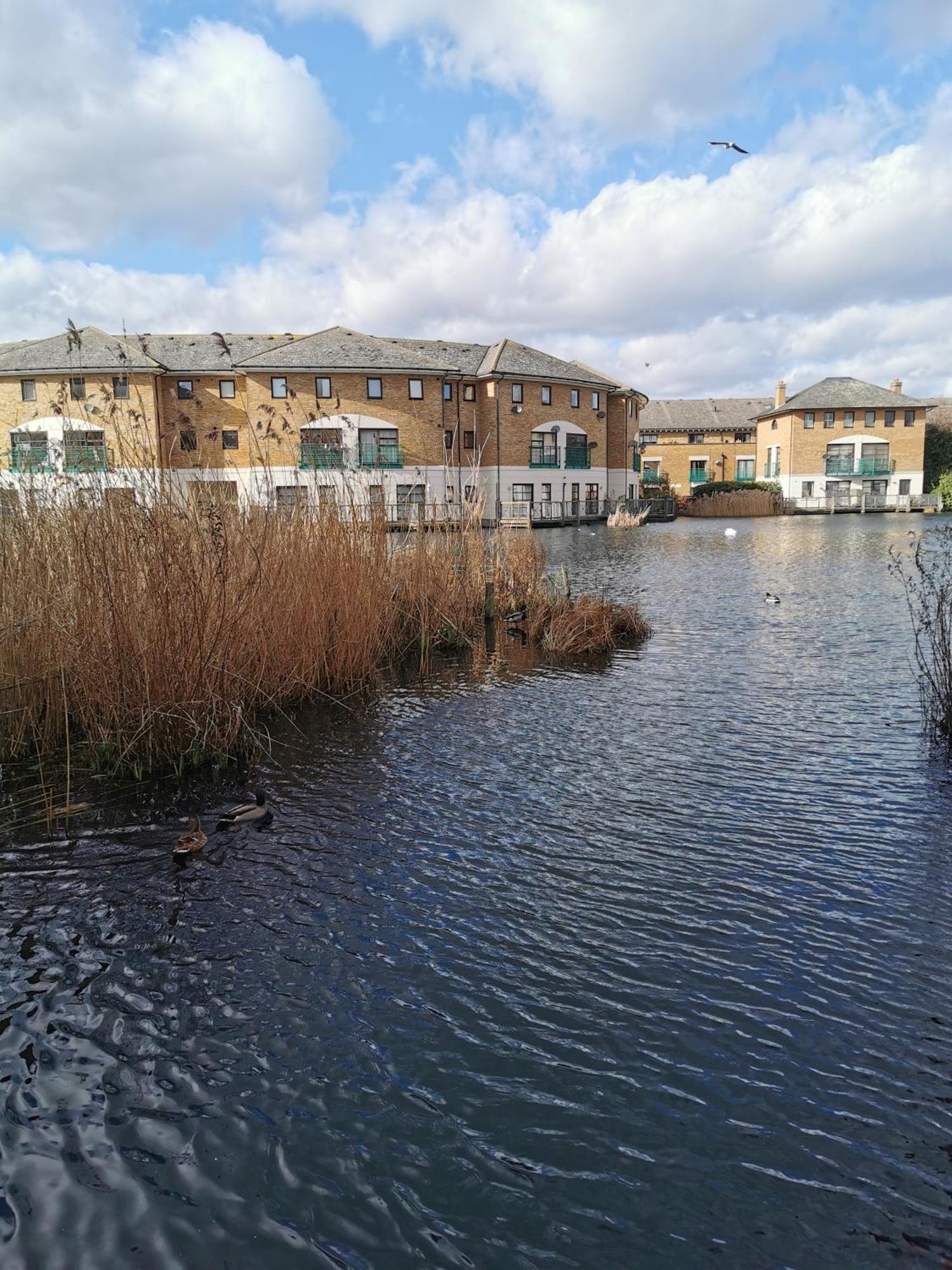 Riverside 1Br With Easy Transport 20Min To City Centre London Exterior foto